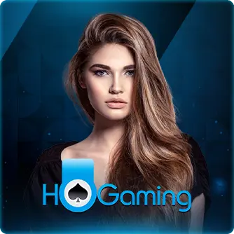 Hogaming